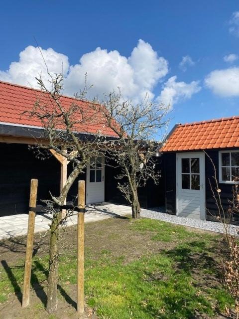 Villa 'T Schouws Uusje à Burgh-Haamstede Extérieur photo