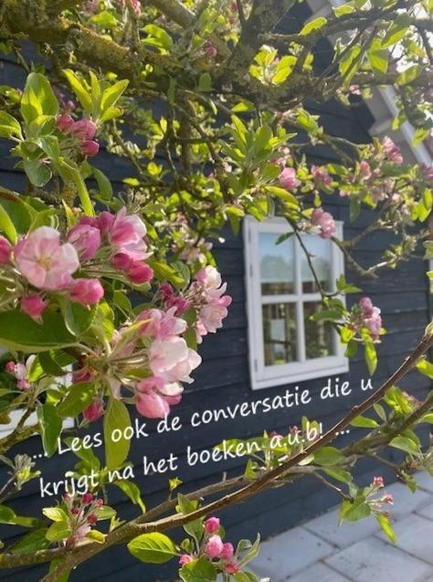 Villa 'T Schouws Uusje à Burgh-Haamstede Extérieur photo